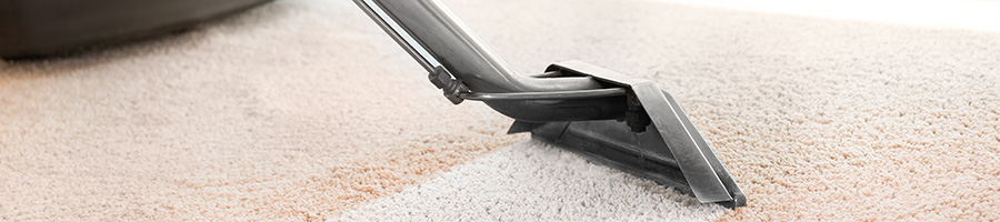 Carpet Cleaning in Sussex